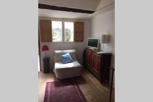 un salon avec une chaise et une télévision dans l'établissement La petite maison médiévale de Melanie, à Flavigny-sur-Ozerain