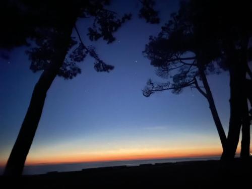 ゲストハウスの近くで見られる自然の景観