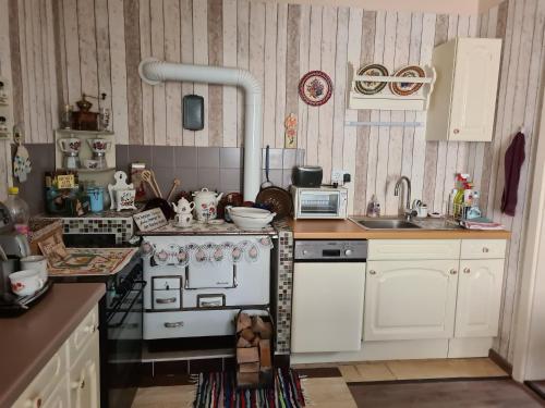 a small kitchen with a stove and a sink at Burgi`s Ferienhaus in Litschau