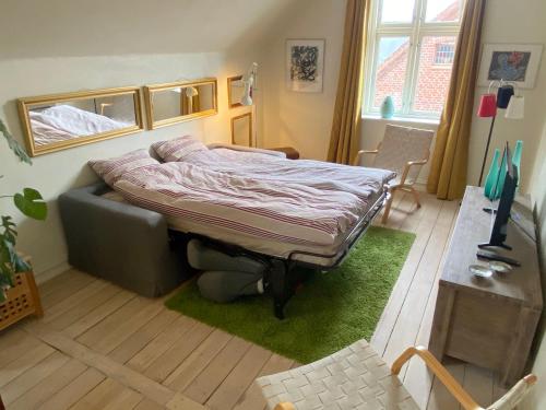 1 dormitorio con 1 cama sobre una alfombra verde en Goodnight Randers, en Randers