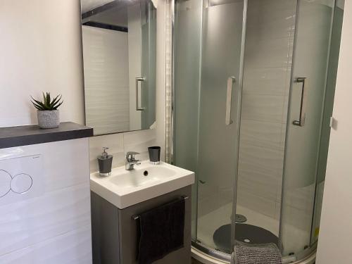 une salle de bain avec un lavabo et une douche en verre dans l'établissement Nice Centre: à 300m de la mer et de la Promenade des Anglais, à Nice