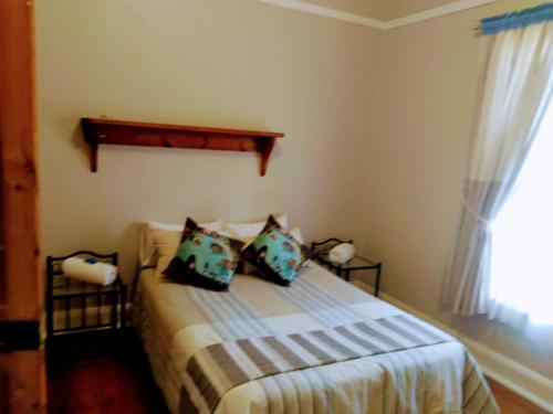 a bedroom with a bed with pillows and a window at Cozy Cottage Van Reenen in Van Reenen