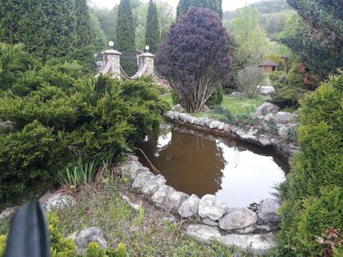 a pond in the middle of a garden at гостинна ВАША ХАТА in Volovets