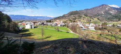 a small town with a green field and mountains at Apartment Murka in Begunje na Gorenjskem