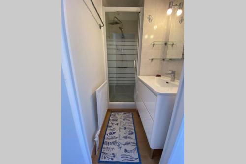 une salle de bain avec un lavabo et une douche dans l'établissement St-Raphaël - joli T1 au port de Santa-Lucia, à Saint-Raphaël