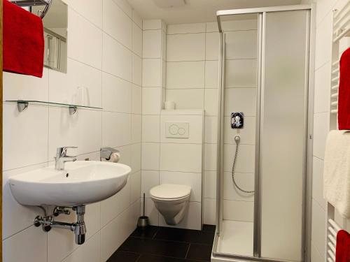 a bathroom with a sink and a toilet at Pension Jagerhof - Sommercard Inkl - 5 Min zum Hochzeiger in Jerzens