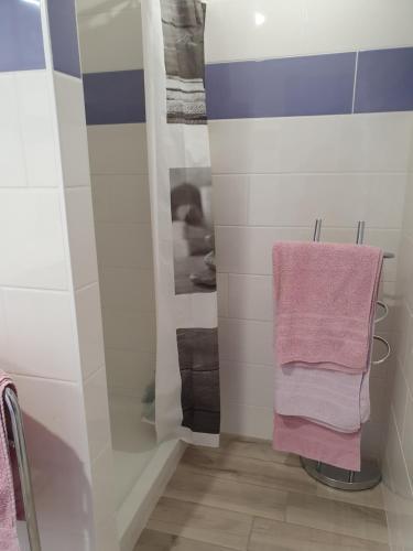 a bathroom with pink towels on a towel rack at Couloumine Breizh in Saint-Aignan