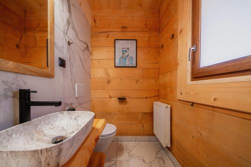 a bathroom with a sink and a toilet at Chaty Misiagi in Poronin