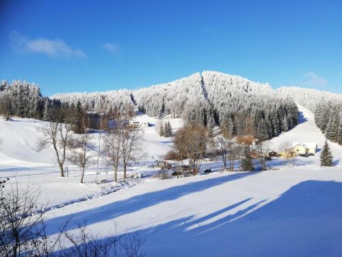 a snow covered mountain with trees in the foreground at Charmantes Ferienhaus am Waldrand in Karlstift