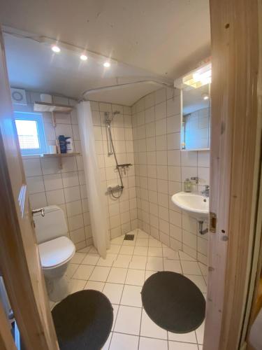 a bathroom with a toilet and a sink at Margretelyst Ferielejlighed in Farsø