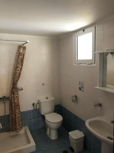 a bathroom with a toilet and a sink at Aggeliki House 5 in Kómboi