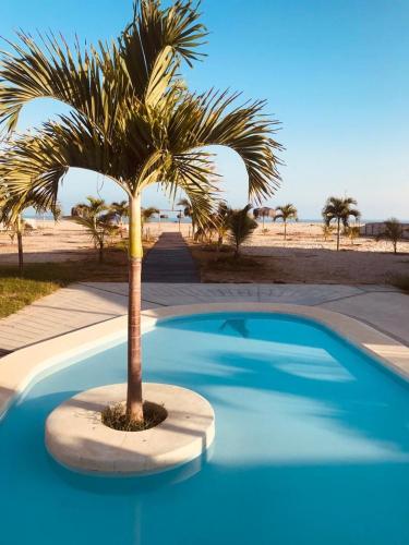 a palm tree sitting next to a blue pool at Las palmeras de bocapan in Tumbes