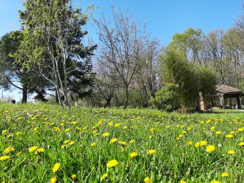 um campo de flores amarelas em frente a um gazebo em Chambre soignée et accueillante à la campagne - Ch. Jaune em L Honor De Cos