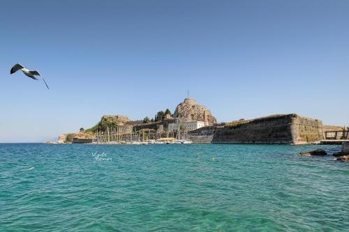 Studio in Corfu town