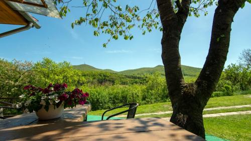 a table with a view of a tree and mountains at Dombtető Vendégház in Sátoraljaújhely
