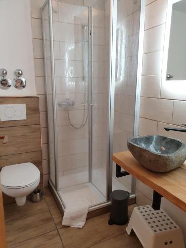 bagno con doccia, lavandino e servizi igienici di Gästehaus Bartlehof a Schluchsee