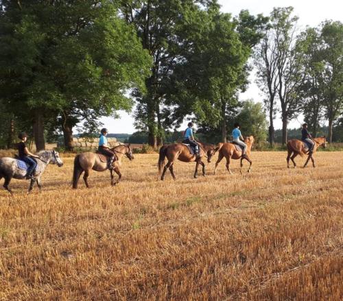 a group of people riding horses in a field at Domek letniskowy "Pod dębem" in Urowo