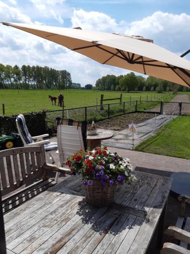 a picnic table with an umbrella and a basket of flowers at De Weije Wereld in Sint-Oedenrode