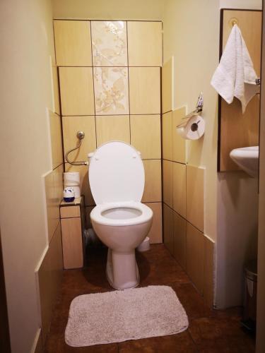 a bathroom with a toilet and a sink at Willa Tiramisu in Szczawnica