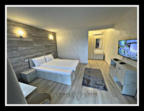 a small bedroom with a bed and a television at Cabana Campus Caffe - Camere Individuale in Sările