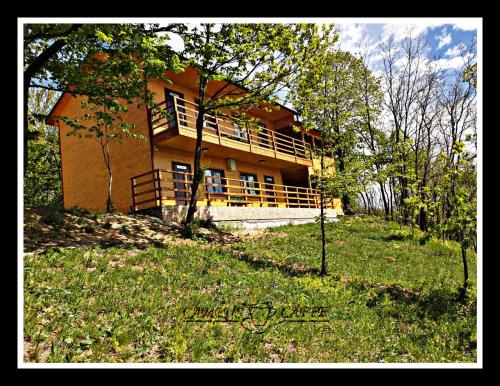 a house on a hill with trees in front of it at Cabana Campus Caffe - Camere Individuale in Sările