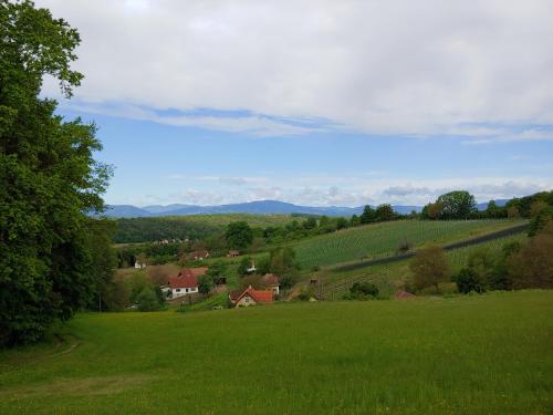 a green field with houses and mountains in the distance at kleine Reblaus in Bad Waltersdorf