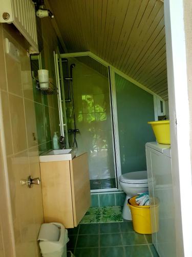 a small bathroom with a toilet and a sink at Borostyán Apartmann in Balatonföldvár