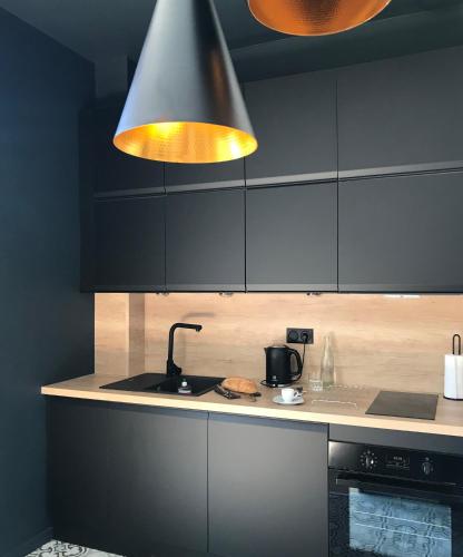 a kitchen with black cabinets and a sink and a light at Studio 329 in Aix-les-Bains