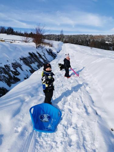 two children are standing in the snow with a snowboard at Willa Hamernik AGROTURYSTYKA in Tylicz