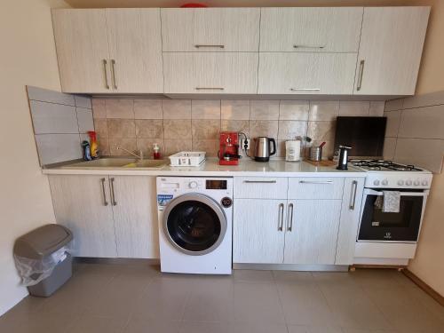 eine Küche mit einer Waschmaschine und einem Waschbecken in der Unterkunft Home for you in Eşelniţa