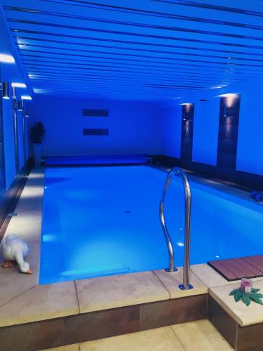 Πισίνα στο ή κοντά στο Residenz Moselzauber - Ferienwohnungen mit Pool Landschaft