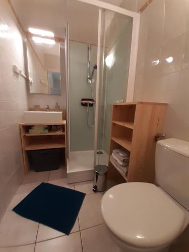une salle de bain avec toilettes, douche et lavabo dans l'établissement Studio calme rénové parking proche centre et thermes, à Aix-les-Bains