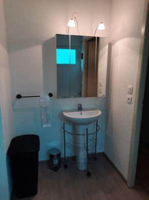 une salle de bain avec un lavabo et un miroir dans l'établissement Appartement 1 chambre et 1 coin cabine, piscine, au bord du lac d 'Aureilhan,proche de Mimizan plage, à Aureilhan