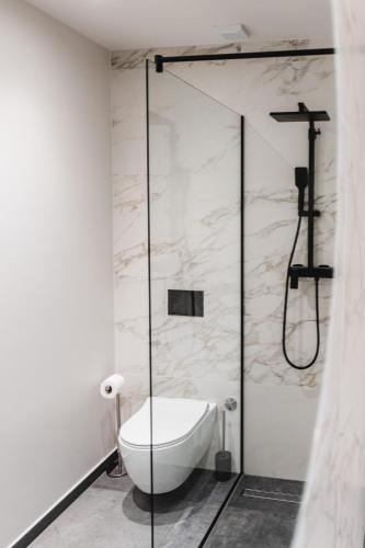 a bathroom with a toilet and a glass shower stall at Amoretta rooms in Šibenik