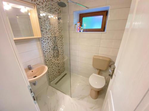 a bathroom with a shower and a toilet and a sink at Stone House in Posušje