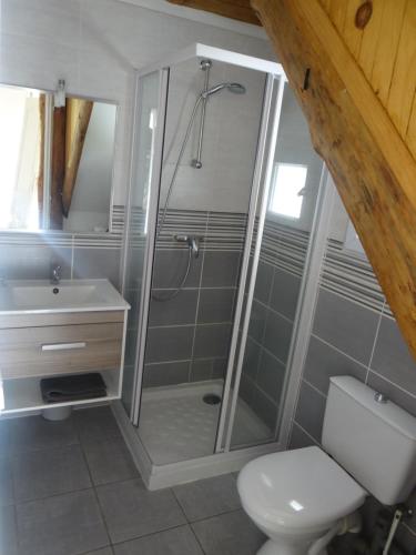 Saint-André-Capcèze的住宿－Gite Le Maty，带淋浴、卫生间和盥洗盆的浴室