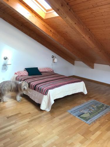 un perro de pie junto a una cama en una habitación en Apartamento Pajaro Loco, en Castejón de Sos