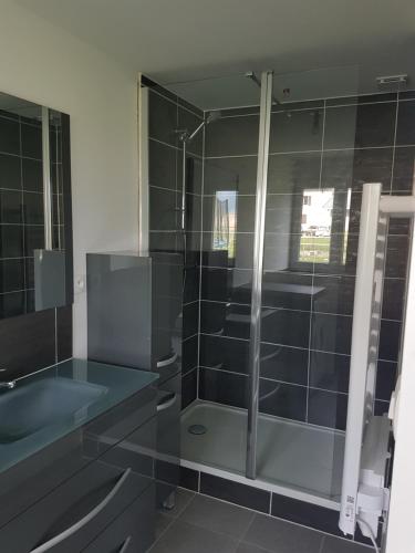 une salle de bain avec douche et lavabo dans l'établissement maisonnette entre lac de Passy et montagnes, à Domancy
