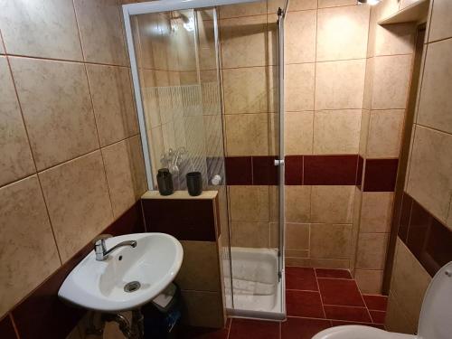 a bathroom with a shower and a sink and a toilet at HORSKÝ PENZION U SPLAVU in Josefuv dul