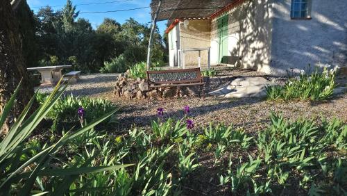 un jardin fleuri devant une maison dans l'établissement Lorgues, La Tourelle, immense piscine, plongeoir, vue, au grand calme, à Lorgues