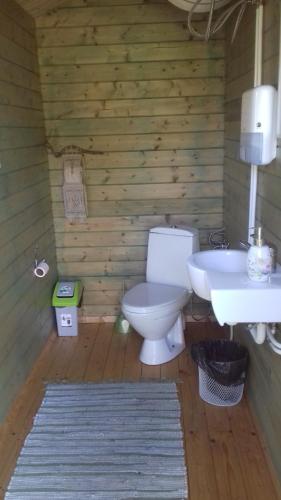 a bathroom with a toilet and a sink at Anseküla Teelistemaja in Anseküla