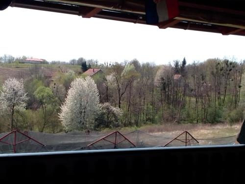 a view of a field from a train window at Studio apartman Šafarić in Sveti Martin na Muri