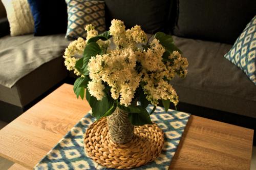 a vase filled with white flowers on a table at Domek nad jeziorem, a morze w gratisie in Wisełka
