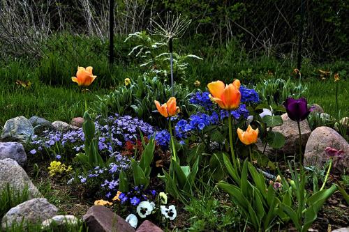 a garden with flowers in the grass and rocks at Domek nad jeziorem, a morze w gratisie in Wisełka