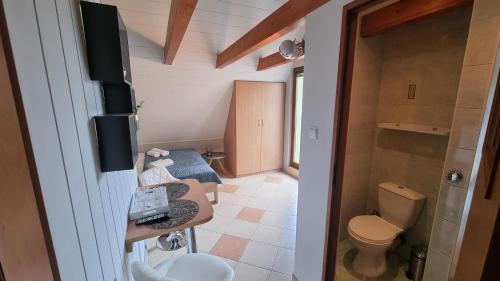 La petite salle de bains est pourvue de toilettes et d'un lavabo. dans l'établissement Pokoje U Mateusza, à Międzyzdroje