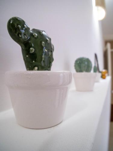 a green cactus in a white pot on a table at Asylum Amicorum Bed & Breakfast in Gagliano del Capo