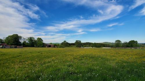 a field of green grass with a blue sky and clouds at Schulhaus Wettges in Birstein