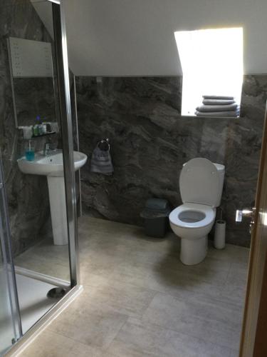 a bathroom with a toilet and a sink at Ben Nevis Manor in Fort William