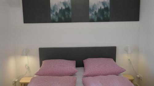a bed with two pink pillows on top of it at Black Forest Bike Hostel in Kirchzarten