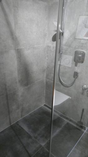 a shower with a glass door in a bathroom at Black Forest Bike Hostel in Kirchzarten